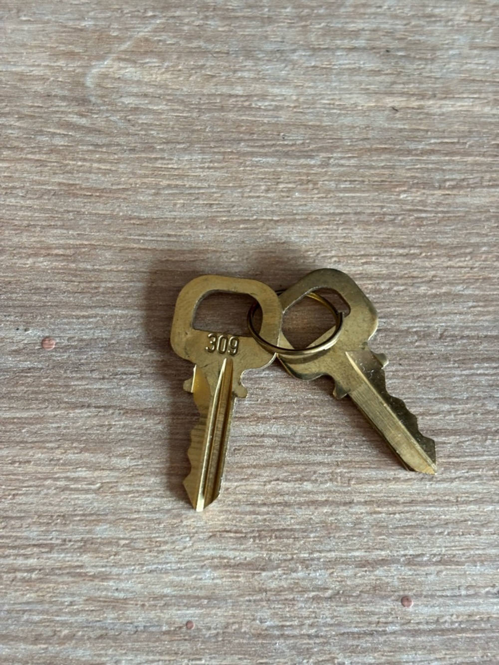Authentic Louis Vuitton #308 key set